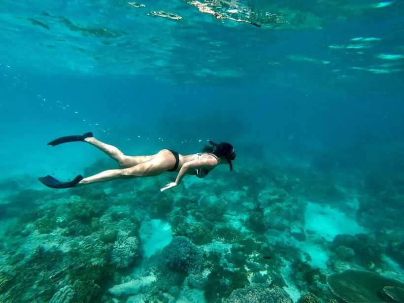 Bali Snorkeling: Blue Lagoon and Tanjung Jepun All Inclusive - Gear, lunch, and comfort: what included actually covers