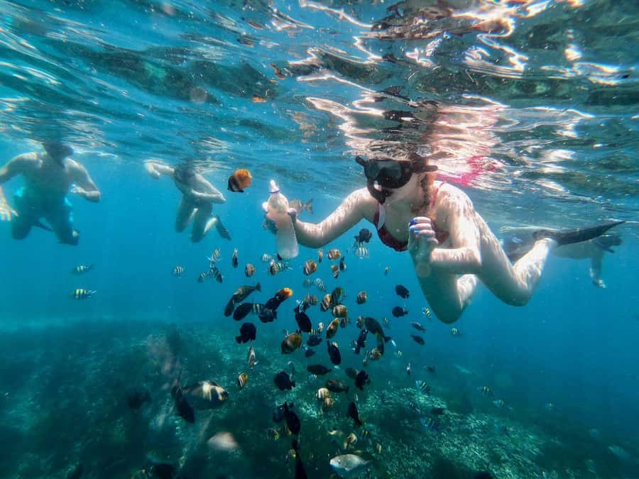 Bali Snorkeling: Blue Lagoon and Tanjung Jepun All Inclusive - Marine life you can realistically expect (and how to spot it faster)