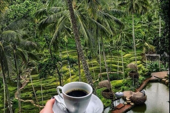 Bali Snorkeling Blue Lagoon with lunch &Optional waterfall Visit - Seminyak pickup to Padang Bai: the schedule that keeps you moving