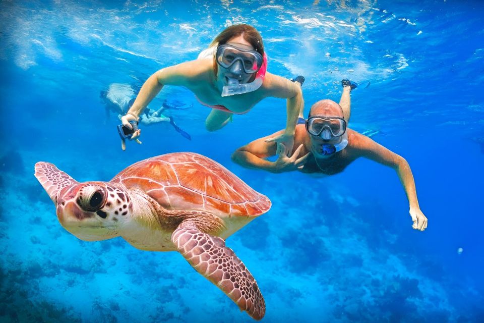 Bali: Snorkeling on 2 spots with Lunch and Transport - Should You Book This Two-Spot Bali Snorkeling Trip?