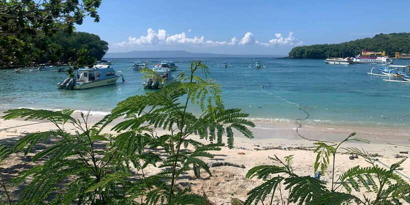 Bali: Snorkeling on 2 spots with Lunch and Transport - Stop 2: Tanjung Jepun’s Calm Coral Gardens (Rays, Seahorses, and Easy Watching)