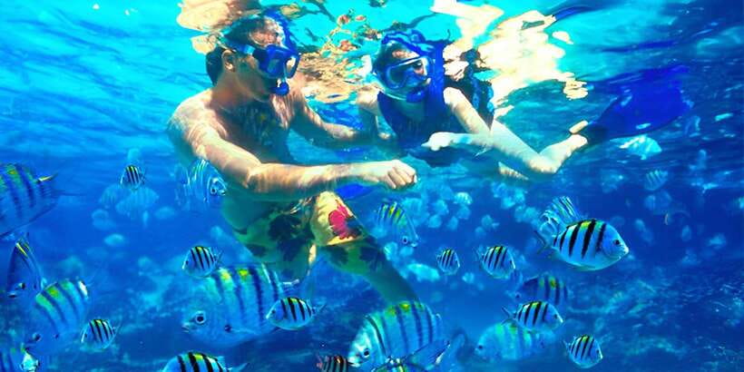 Bali: Snorkeling on 2 spots with Lunch and Transport - Lunch Included: What You’ll Eat After Two Hours of Saltwater