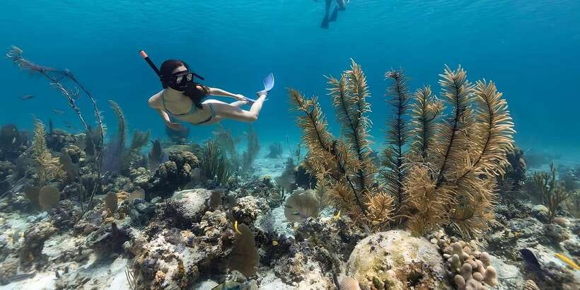 Bali: Snorkeling on 2 spots with Lunch and Transport - Value for $51: Is This Two-Spot + Lunch Deal Fair?