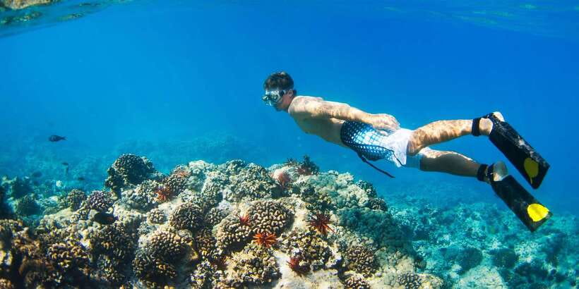 Bali: Snorkeling on 2 spots with Lunch and Transport - What to Bring (and What Can Ruin the Day)
