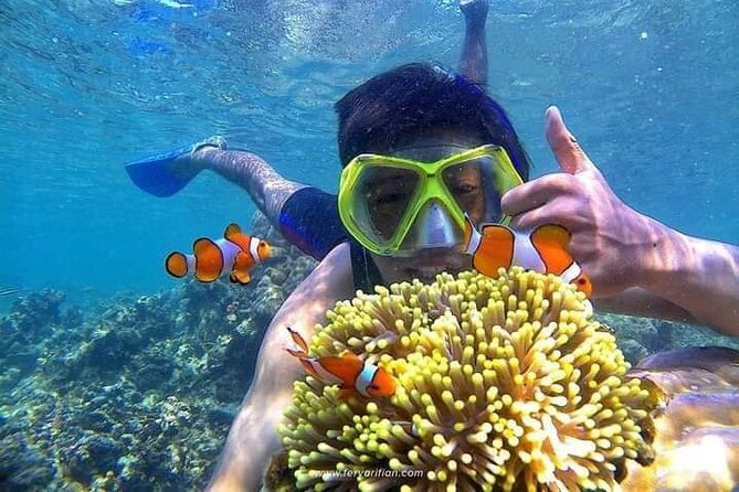 Bali : Snorkeling Trip - Blue Lagoon & Tanjung Jepun with Lunch - Key Highlights You’ll Actually Care About