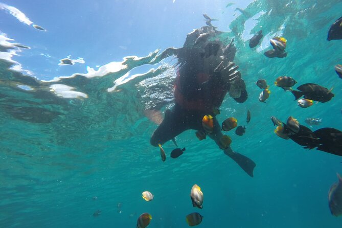 Bali : Snorkeling Trip - Blue Lagoon & Tanjung Jepun with Lunch - How the 7-Hour Day Runs (Pickup, Boat, and Water Time)