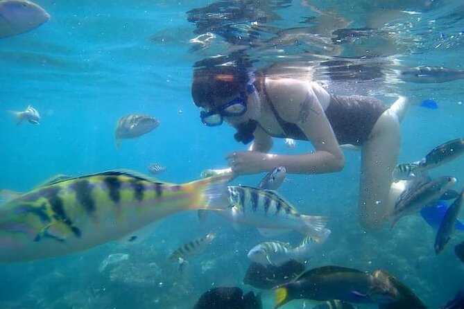Bali : Snorkeling Trip - Blue Lagoon & Tanjung Jepun with Lunch - Tanjung Jepun: The Value of a Second Ocean View