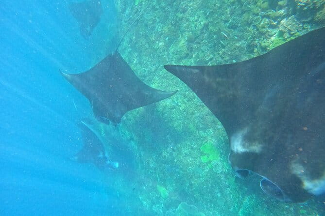 Bali Snorkling Blue Lagoon Beach with Lunch & Private Transport - Price and Value: Getting More Than a Quick Swim for $23