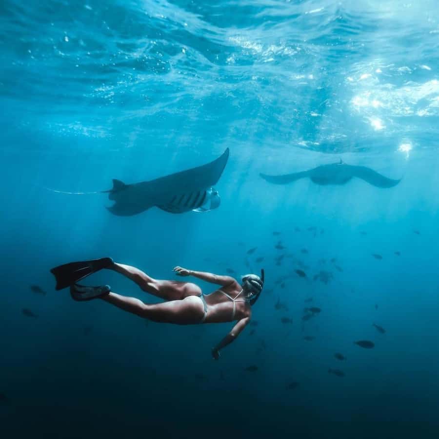 Bali southeast : Nusa Penida Full-Day Trip with Snorkeling - A full-day Penida plan that starts with hotel pickup