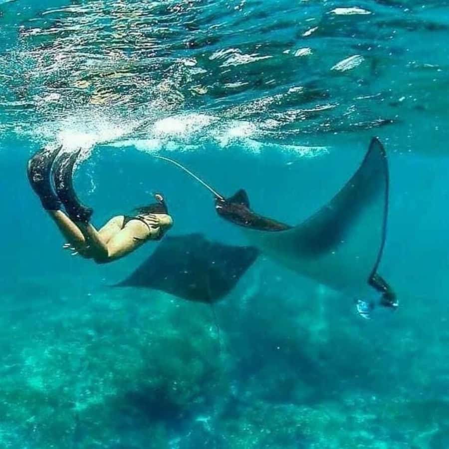 Bali southeast : Nusa Penida Full-Day Trip with Snorkeling - Three snorkel bays, one shared boat, and the weather factor