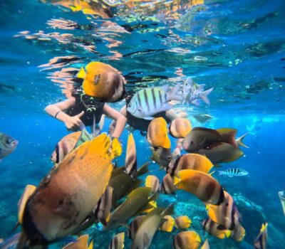 Bali southeast : Nusa Penida Full-Day Trip with Snorkeling - Sanur to Nusa Penida: the speedboat reality check
