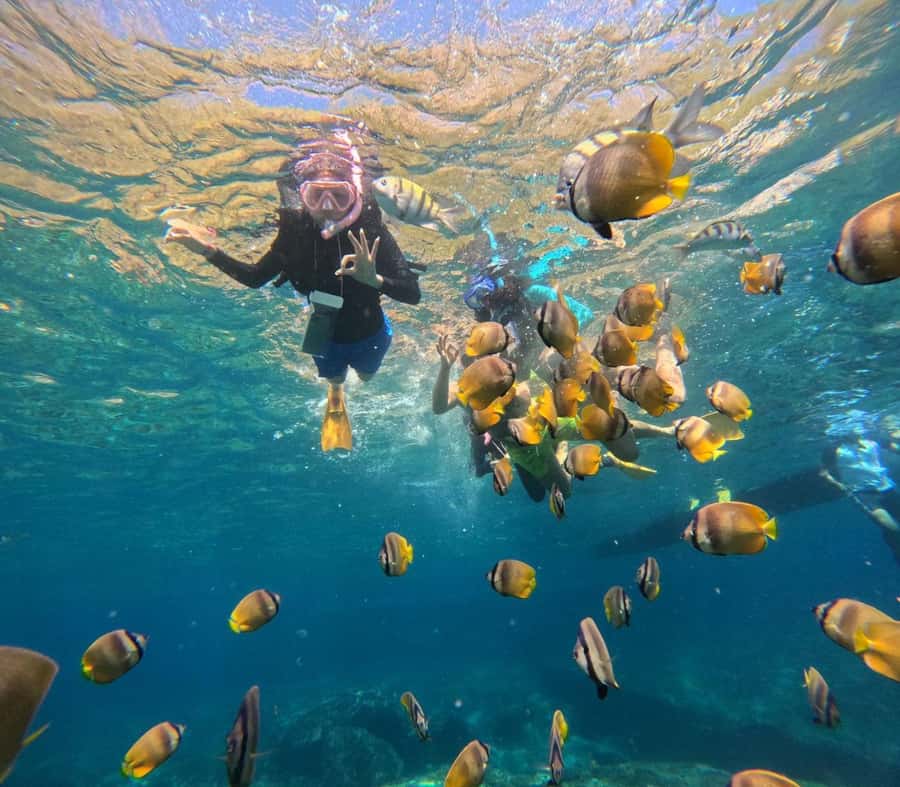 Bali southeast : Nusa Penida Full-Day Trip with Snorkeling - Manta rays: how to make this section feel worth it