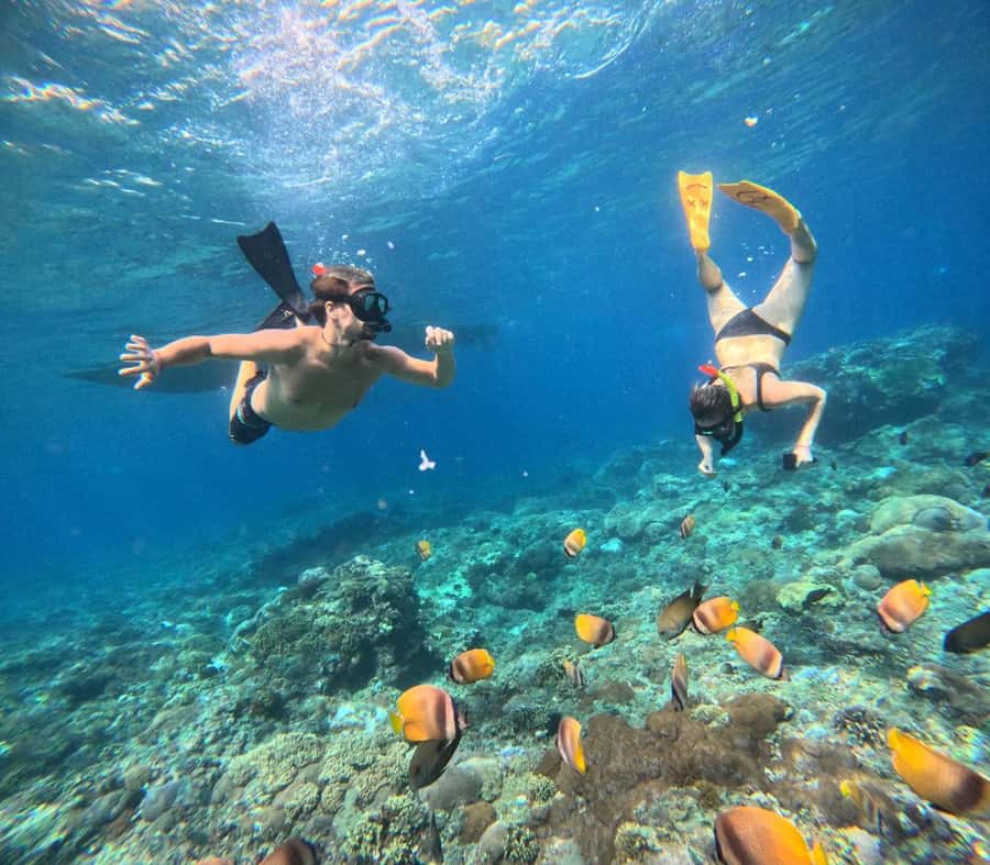 Bali southeast : Nusa Penida Full-Day Trip with Snorkeling - What to bring so the day doesn’t feel like work