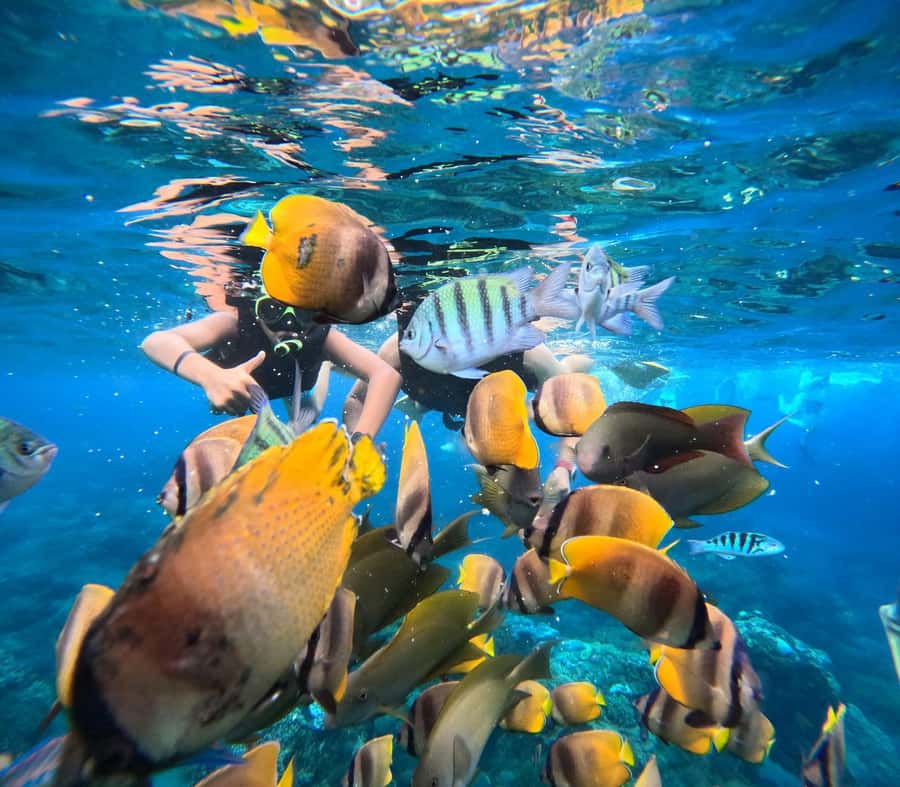 Bali southeast : Nusa Penida Full-Day Trip with Snorkeling - Sanur to Nusa Penida: the speedboat reality check