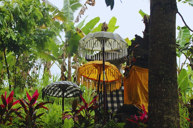 Bali Spiritual: Blessing Ceremony, Pristine Nature and Transfer - Key Highlights You’ll Feel All Day