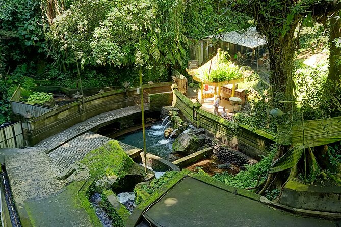 Bali Spiritual Soul Retreat Cleansing and Mantra Healing - What the day feels like: pacing, private pickup, and real-world timing