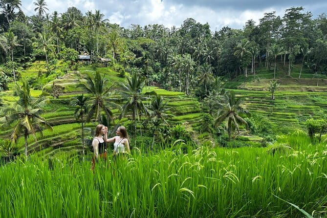 Bali Sunrise Without Hiking: Temples, Rice Terraces & Waterfall - Key Things You’ll Notice Right Away
