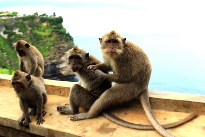 Bali Sunset: Uluwatu Temple, Kecak Dance and Jimbaran - Price and logistics: what $42 actually buys you