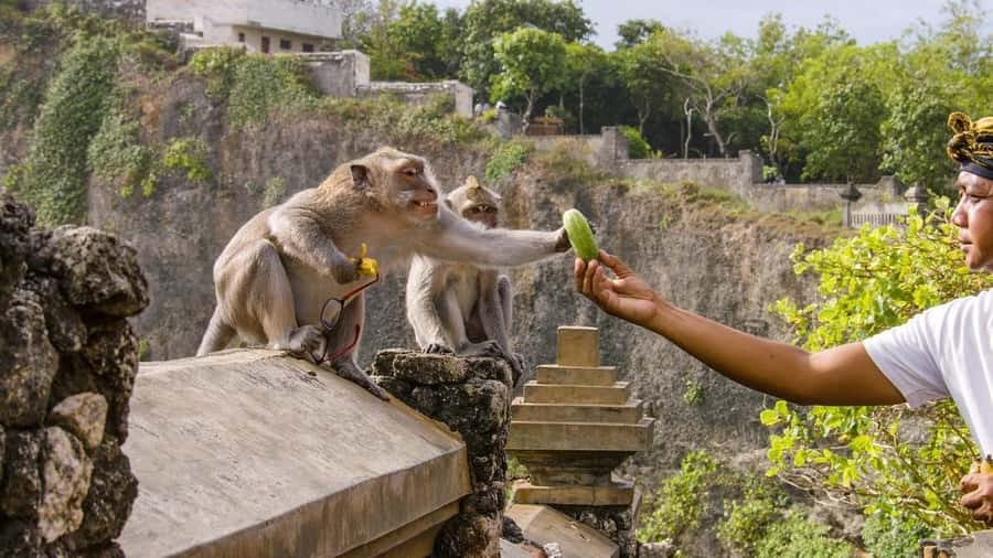 Bali: Sunset Uluwatu Temple & Kecak Fire Dance Private Tour - Who should book (and who should skip)