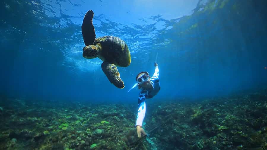 Bali: Swim with Manta Rays in Penida, Optional Lunch & Kayak - Snorkeling stops around Nusa Penida: three chances, not one