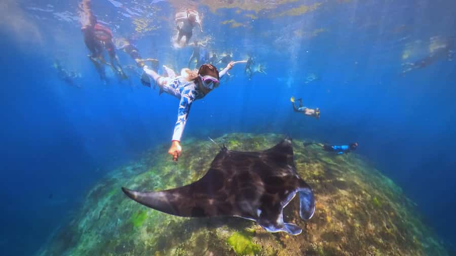 Bali: Swim with Manta Rays in Penida, Optional Lunch & Kayak - Lunch on Nusa Lembongan: the break you’ll appreciate later