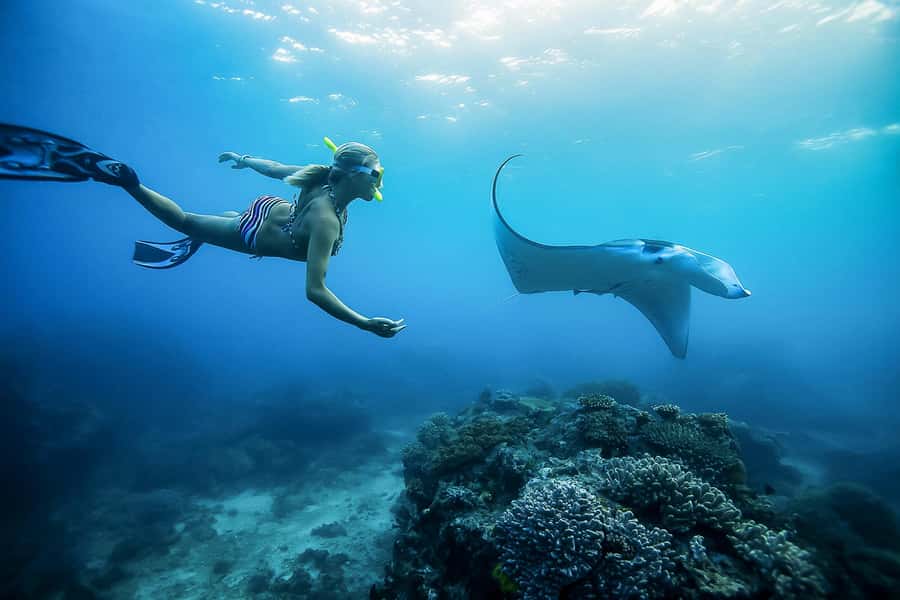Bali: Swim with Manta Rays in Penida, Optional Lunch & Kayak - Getting your bearings at the meeting point
