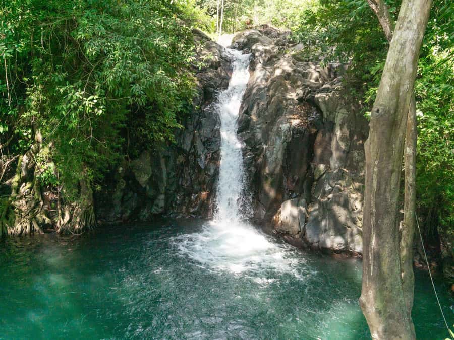 Bali: Swimming with dolphin & waterfal tour, all inclusive. - Key highlights at a glance