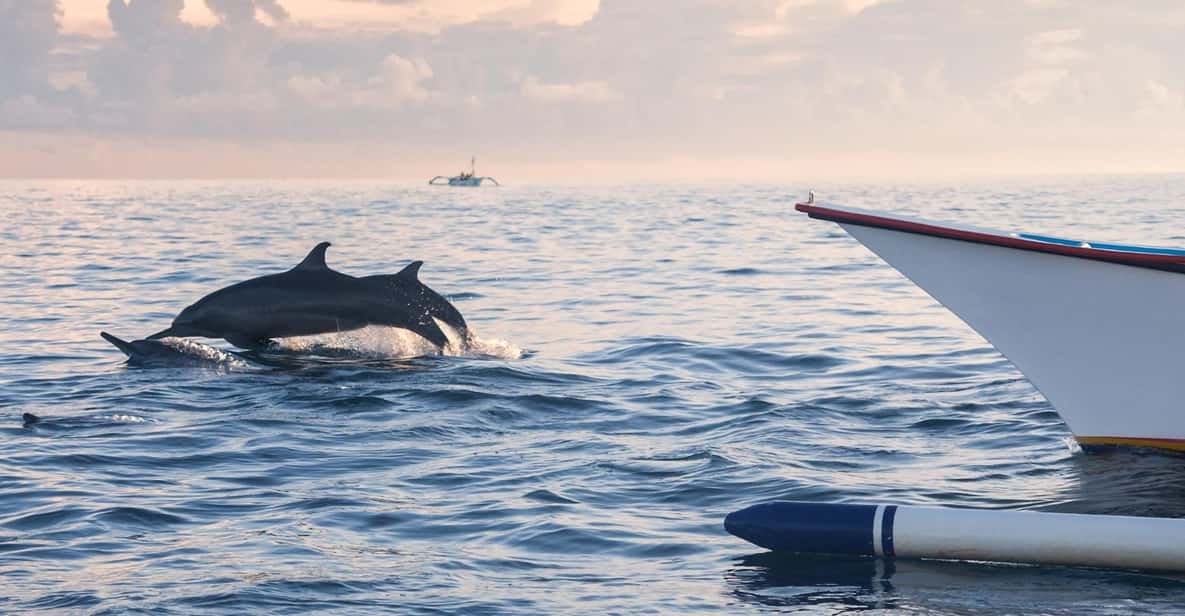 Bali: Swimming with dolphin & waterfal tour, all inclusive. - Who this tour suits best (and who should skip it)