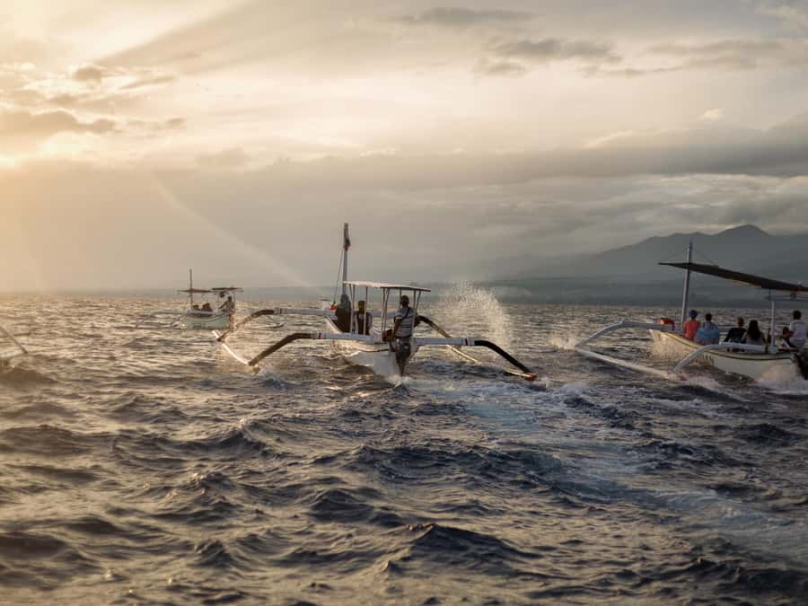 Bali: Swimming with dolphin & waterfal tour, all inclusive. - Price and value: $92 per person, and what you’re really buying