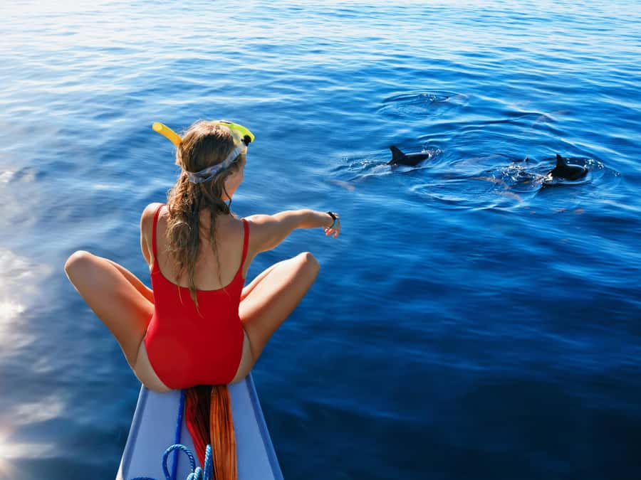 Bali: Swimming with dolphin & waterfal tour, all inclusive. - The dolphin swim: what you can realistically expect in the water