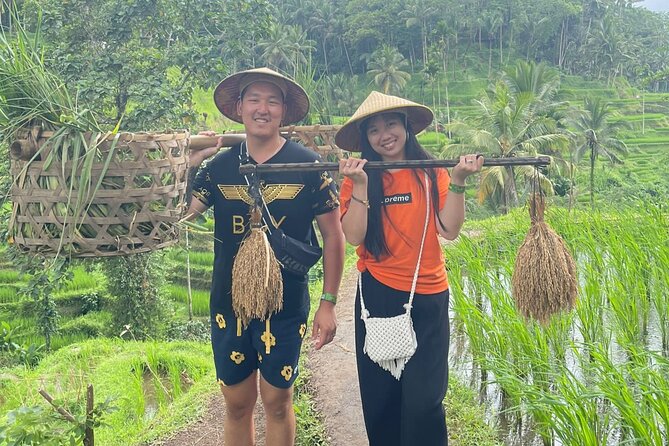 Bali Swing Hot Spring And Waterfall Private Guided Tour - Mount Batur in Kintamani: Volcano Views and a Lunch Break