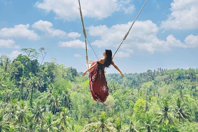 Bali Swing, Monkey Forest and Waterfall Private Tour - Key highlights you’ll actually feel