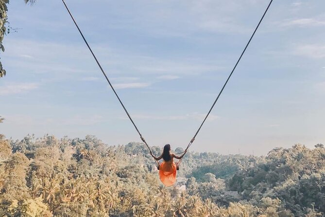 Bali Swing, Monkey Forest and Waterfall Private Tour - Seminyak pickup to Ubud temples and waterfalls: a smart way to do Bali in one day