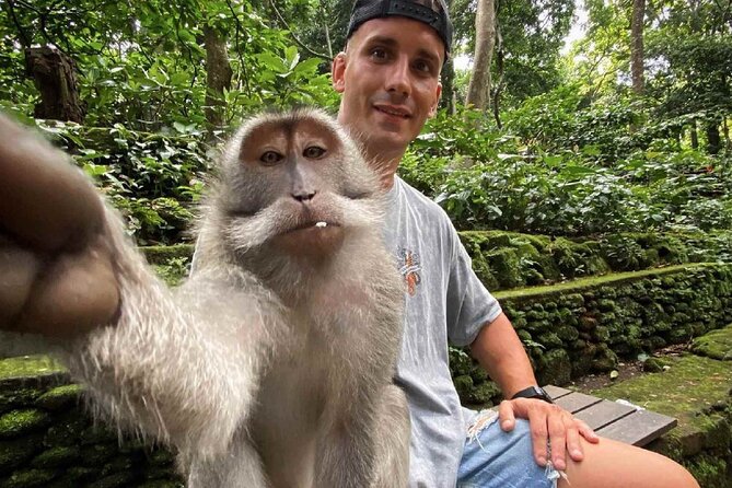 Bali Swing, Monkey Forest and Waterfall Private Tour - Price and logistics: why this one can be good value at $24.65