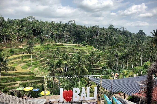 Bali Swing Packages and Kintamani Mt Batur Volcano View - Real Bali Swing: How the Pioneer Active package changes the experience