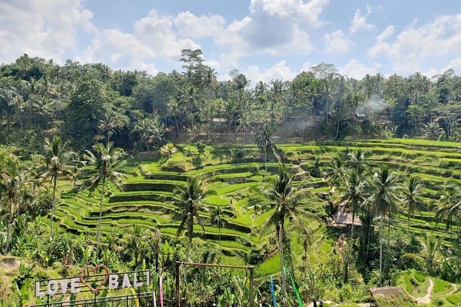 Bali Swing Ubud Private Day Tour - Monkey Forest Sanctuary: Macaques, Forest Paths, and a Real Photo Moment