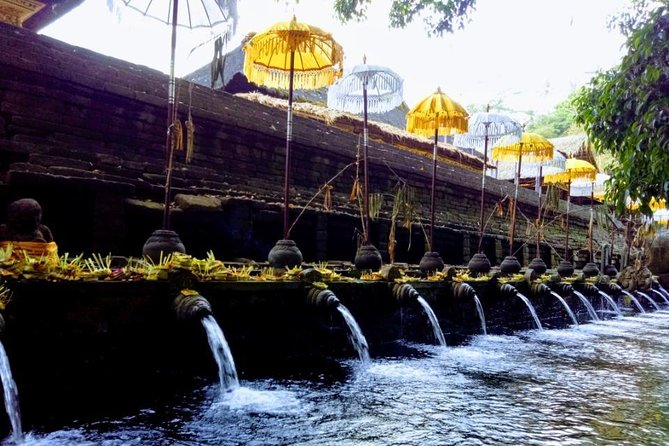 Bali Swing Ubud Private Day Tour - Segara Windhu Coffee Plantation: Luwak Coffee Tasting and Learning