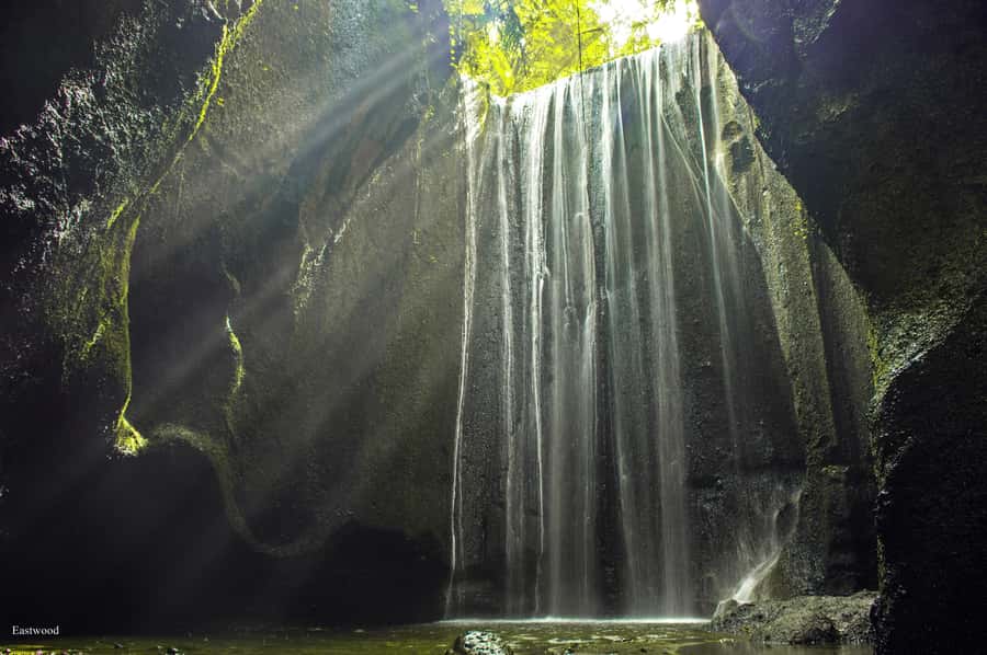 Bali: Swing with Falls, Rice Terrace, & Monkey Forest Option - Price and value: why $15 can work if you pick the right options