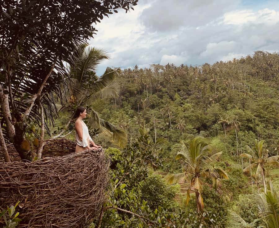 Bali: Swing with Falls, Rice Terrace, & Monkey Forest Option - Coffee plantation at Kumulilir: learning the process without the hard sell