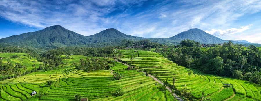 Bali: Taman Ayun, Jatiluwih, Ulun Danu, and Monkey Forest - A smooth Bali day built around four must-sees