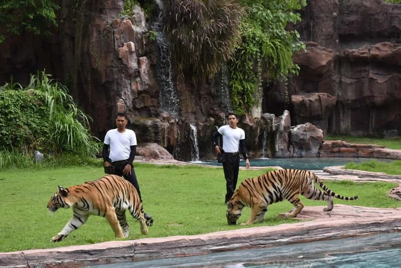 Bali: Taman Safari and Elephant Feeding with Hotel Transfer - Hotel Transfer First: Why It Changes the Whole Day