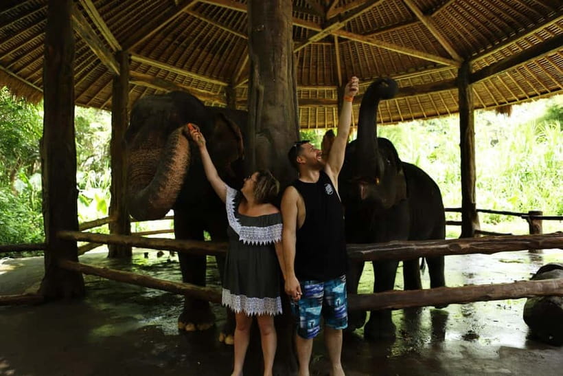 Bali: Taman Safari and Elephant Feeding with Hotel Transfer - The Safari Tram and Animal Encounters: How the Park Keeps It Moving