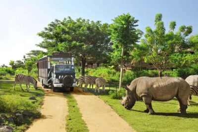 Bali: Taman Safari and Elephant Feeding with Hotel Transfer - Arriving at the Park: What Your Day Is Really Built Around