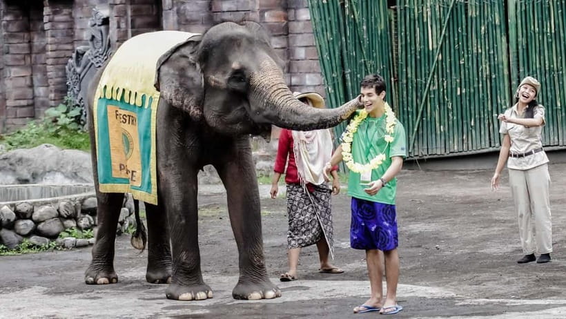 Bali: Taman Safari and Elephant Feeding with Hotel Transfer - Price and Value: Is $100 a Fair Deal?