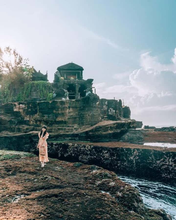Bali : Tanah Lot Temple Tour with Sunset Dinner - Alas Kedaton Monkey Forest: tame monkeys, real temple grounds