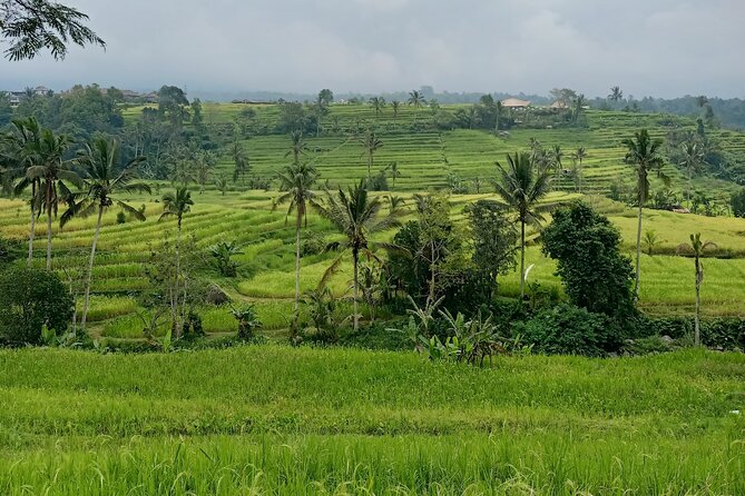 Bali Tanah Lot, Ulun Danu Beratan & Jatiluwih Rice Terrace - What This Private Bali Day Really Includes (and Why It Works)