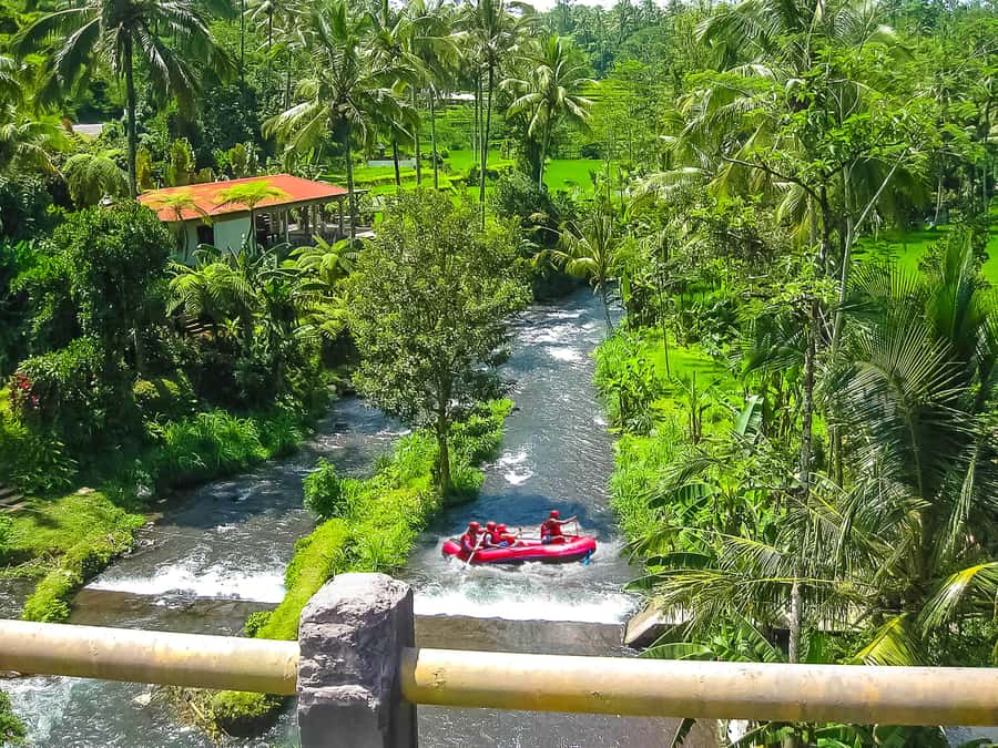 Bali: Telaga Waja White Water River Guided Rafting & Lunch - Beginner-friendly rafting: what makes it work for non-swimmers