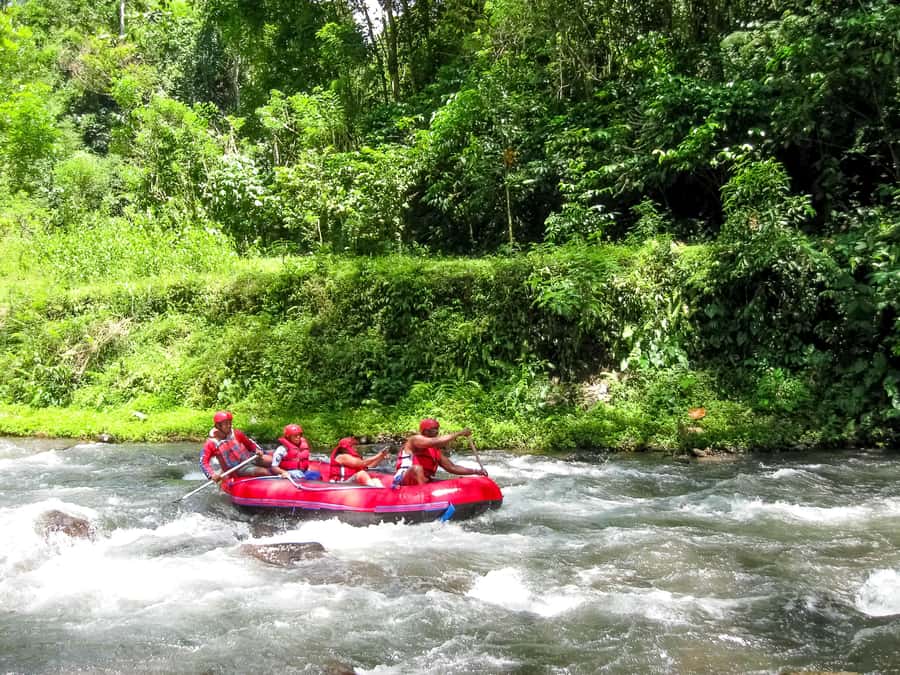 Bali: Telaga Waja White Water River Guided Rafting & Lunch - The guides and safety setup: how you stay relaxed while the river gets rowdy
