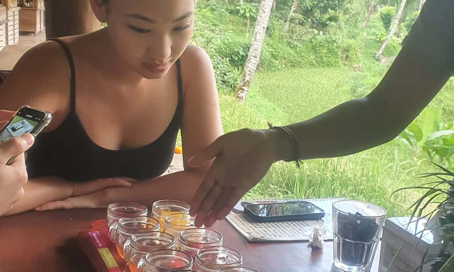 Bali: Temple Lake, Jungle Waterfall, Rice Field & Tanah Lot - Time, transport, and why the private driver format matters