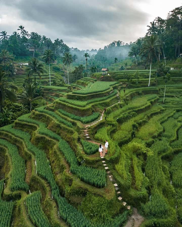 Bali: Temples, waterfall, and Rice Terrace Guided Tour - Price and value: $26 for a packed 10-hour route